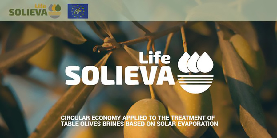 Lifesolieva proyecto oleo 5260