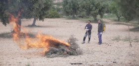 Quema poda aragon autorizacion covid19 oleo