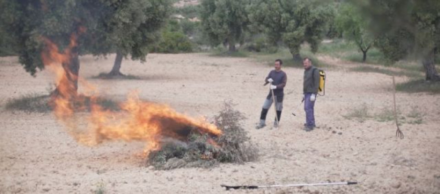 Quema poda aragon autorizacion covid19 oleo