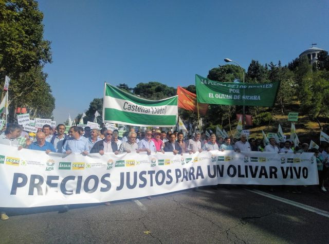 Manifestacion asoc aceite oleo