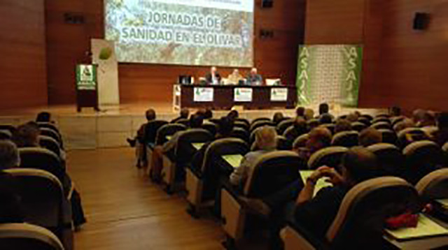 Asajajornadas2018 4076