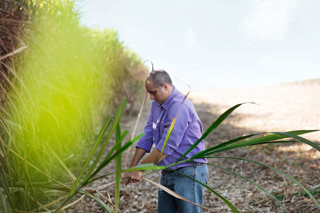 Bayer solidaridad 3995