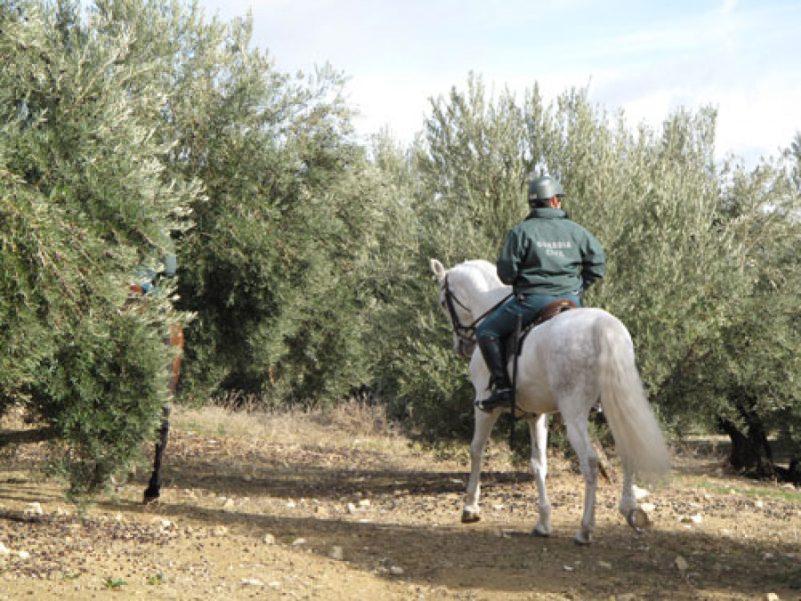 Asaja jaen 3651