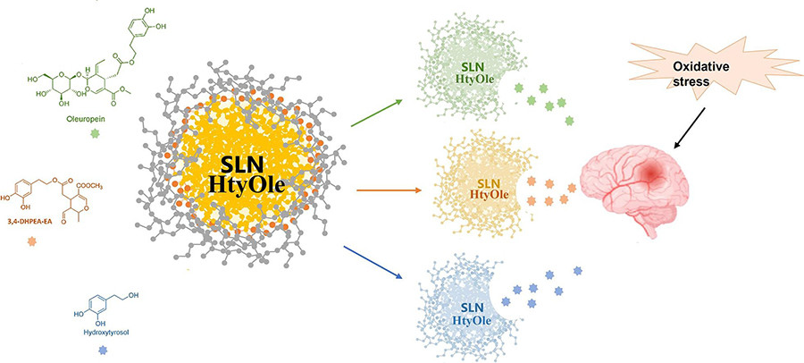 Oleato hidroxitirosol oleo 010223