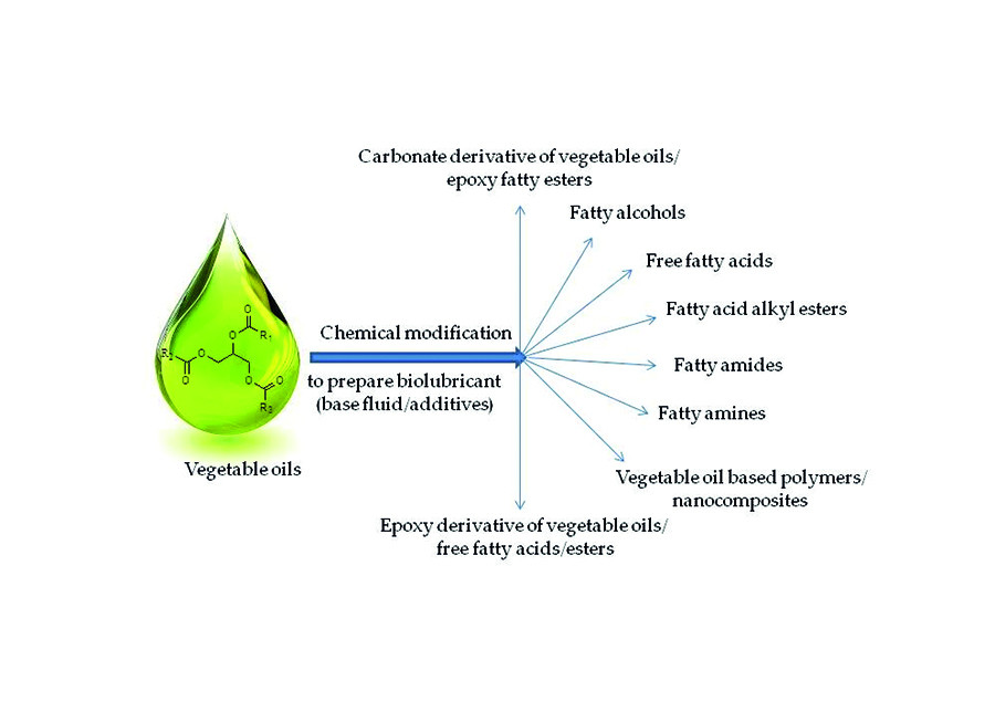 Estudio aceites vegetales lubricantes oleo 170223