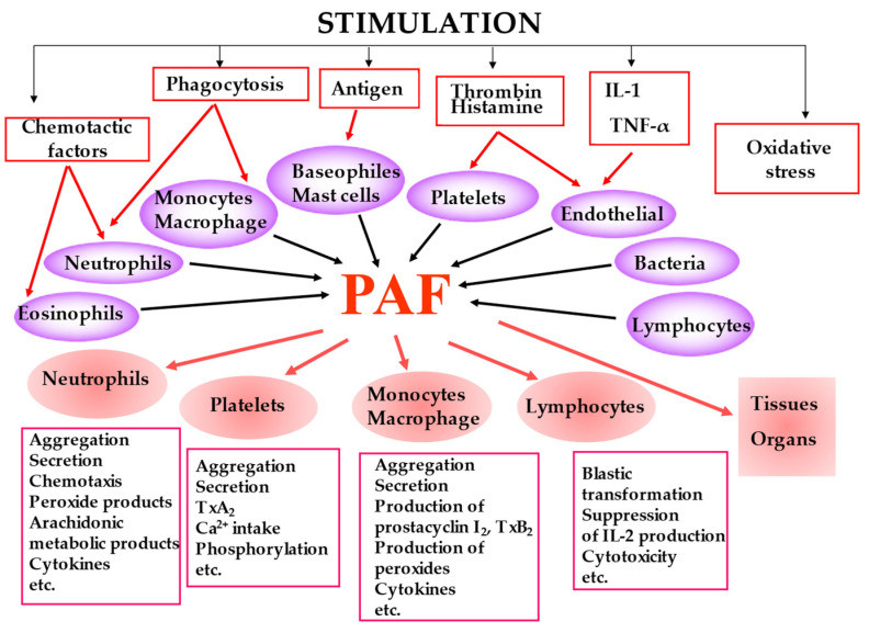 Biomolecules paf aov oleo290523