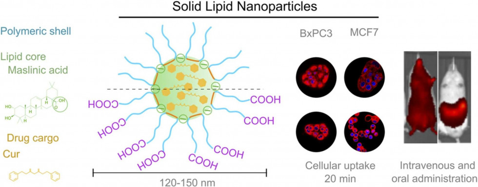 Nanoparticulas cancer ugr olivas oleo130723