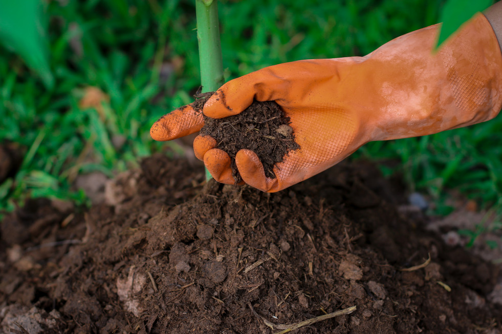 Fertilizantes acuerdo upm fertiberia oleo260723