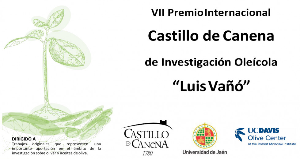 Premio investigacion luis vaño uja oleo301023