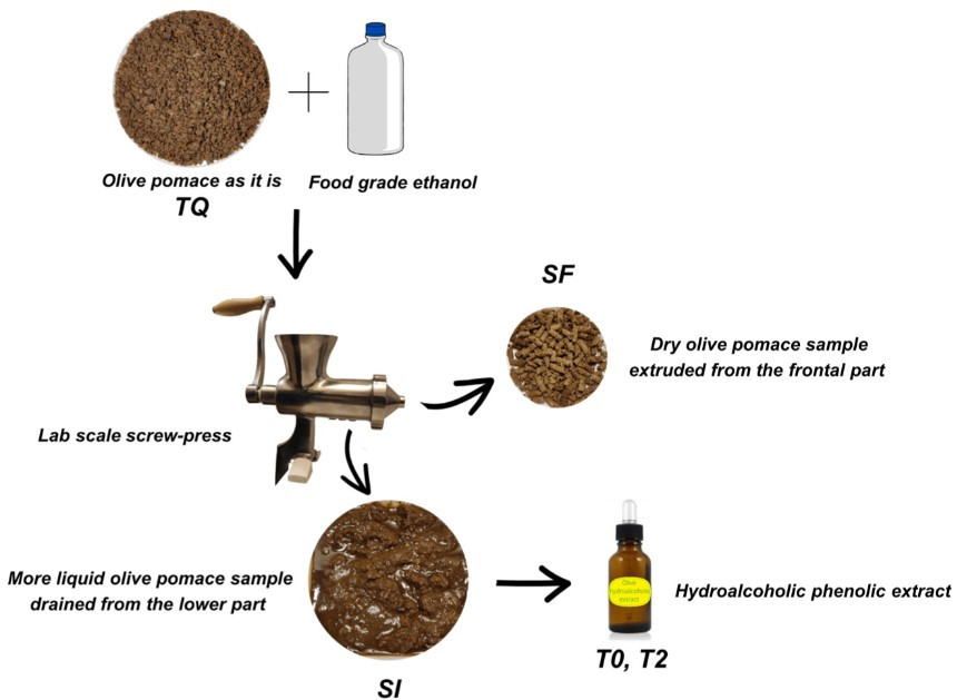 Aceite orujo oliva estudio oleo180124