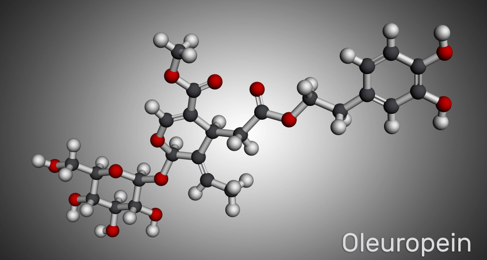 Navarrabiomed oleuropeína cancer oleo230124