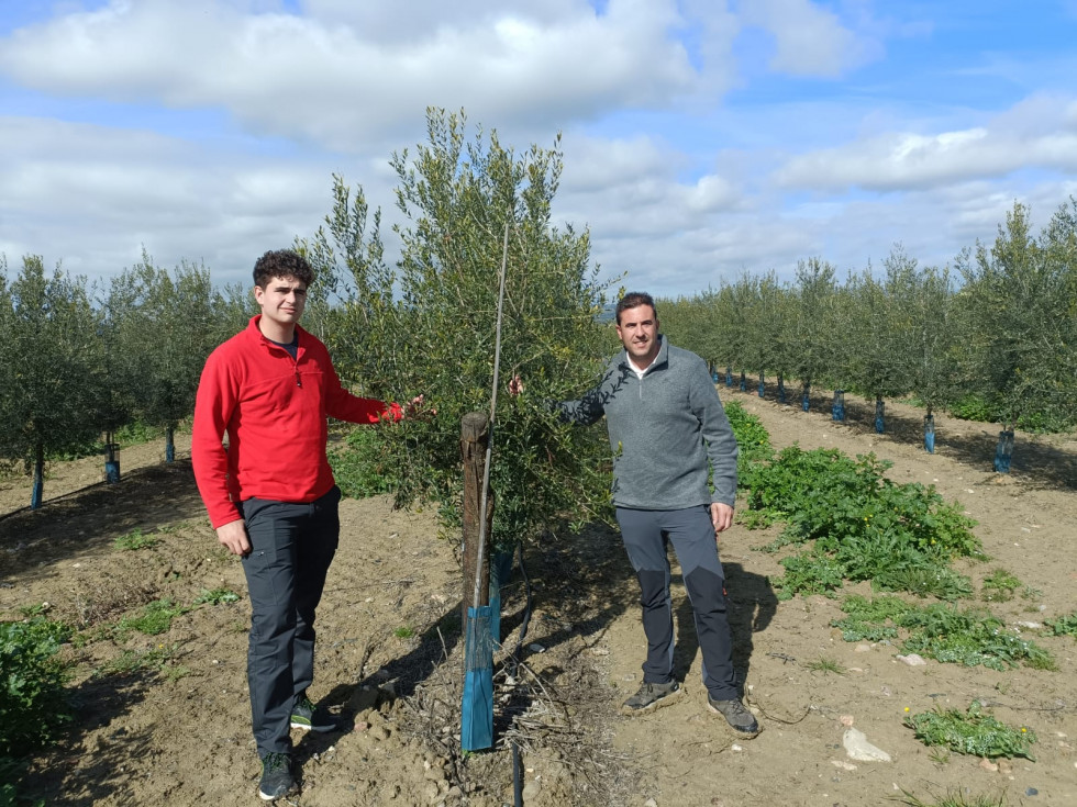 Proyecto cultiva cooperativaJaen oleo010324