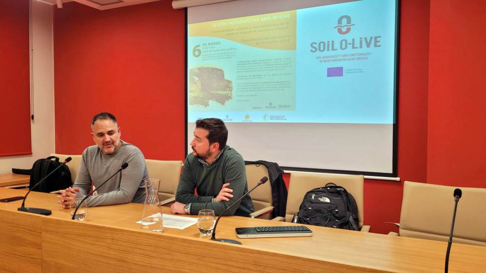 Soil Olive presentacion formaciones oleo110324