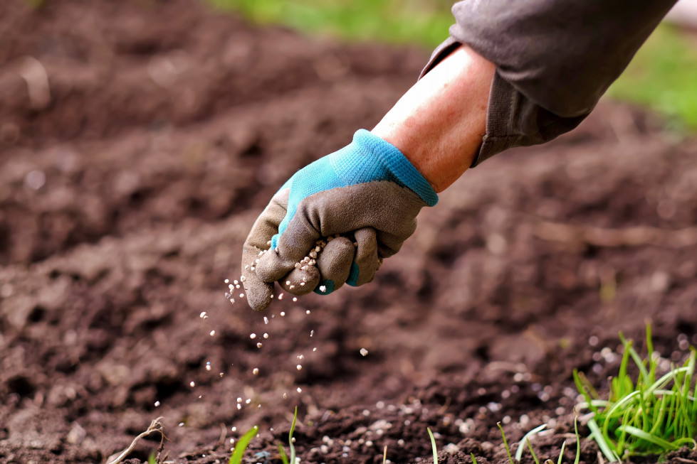 Foto SICPA FERTILIZANTES oleo220524