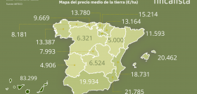 Informe CoyunturaSector Inmobiliario Rústico2023 FINCALISTA oleo300524