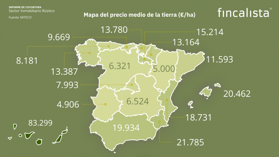 Informe CoyunturaSector Inmobiliario Rústico2023 FINCALISTA oleo300524