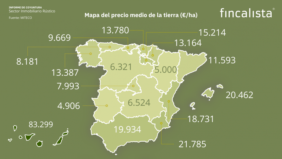 Informe CoyunturaSector Inmobiliario Rústico2023 FINCALISTA oleo300524