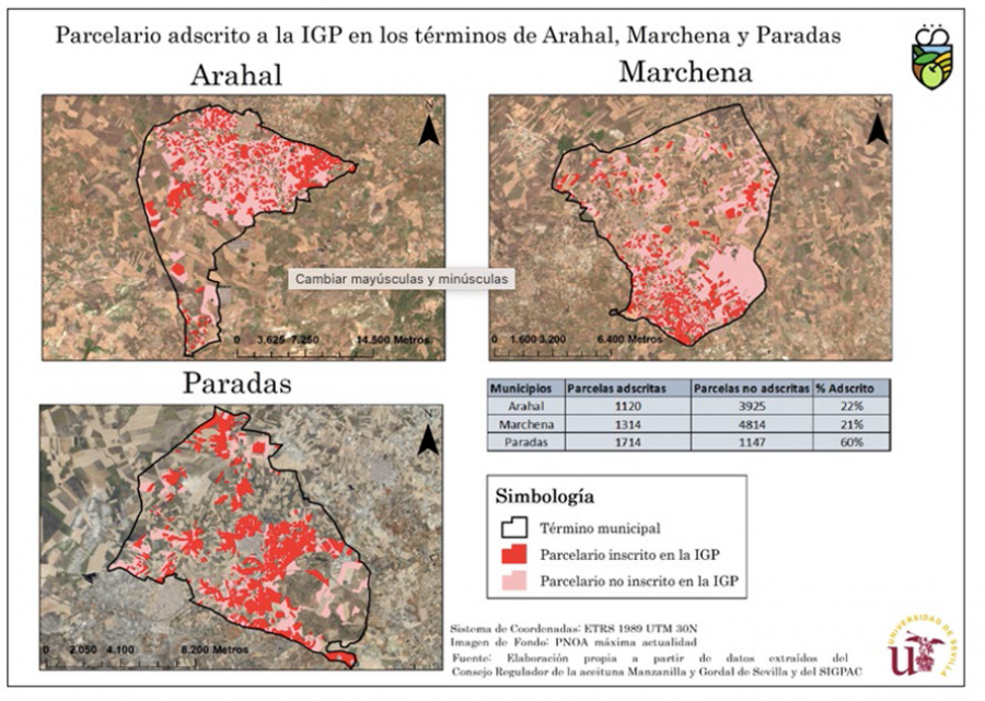 Estudio us parcelas georrferencia igp manzanilla gordal oleo100624