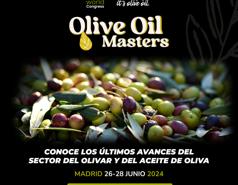 CreasFinalesOOWCMastersMesadetrabajo oleo190624