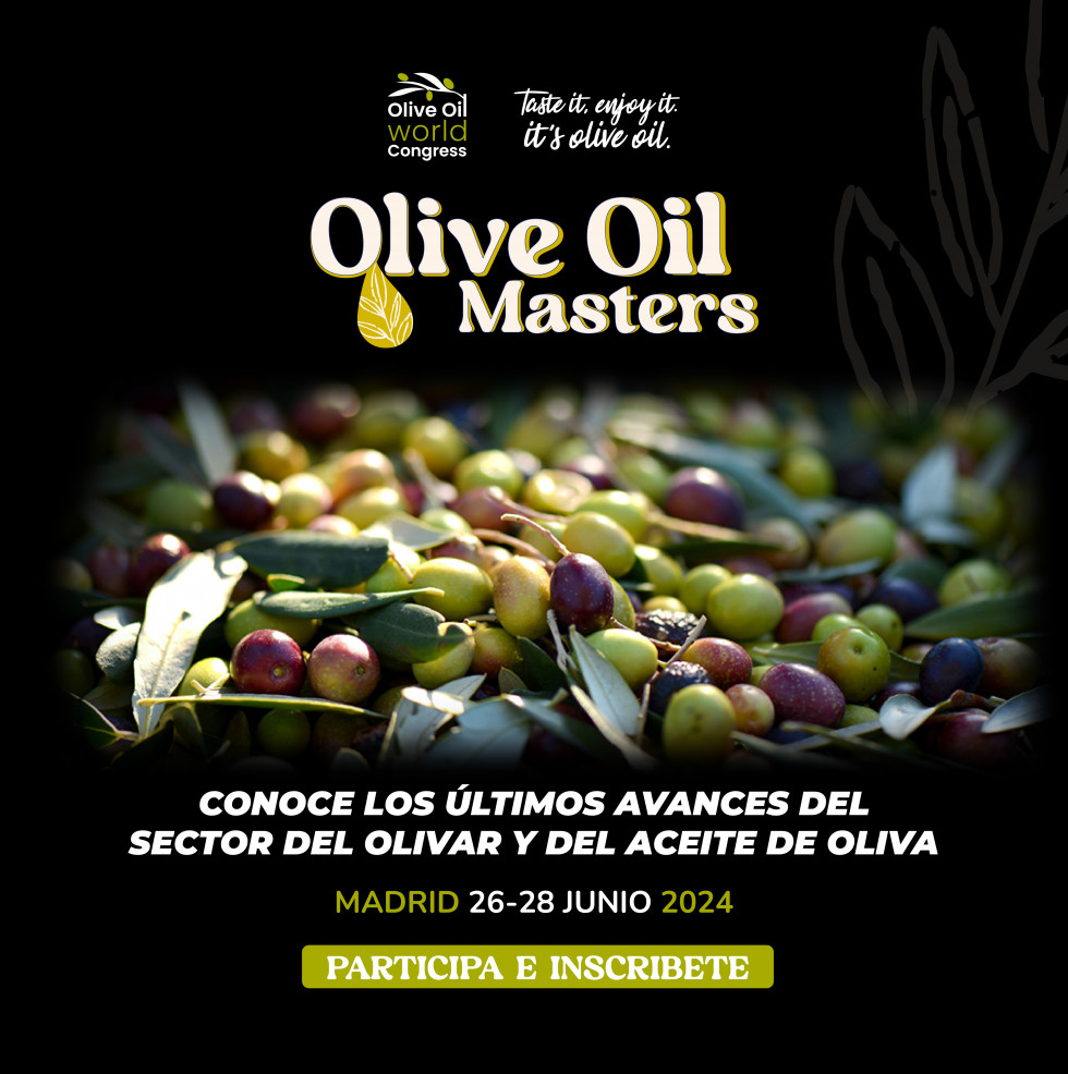 CreasFinalesOOWCMastersMesadetrabajo oleo190624