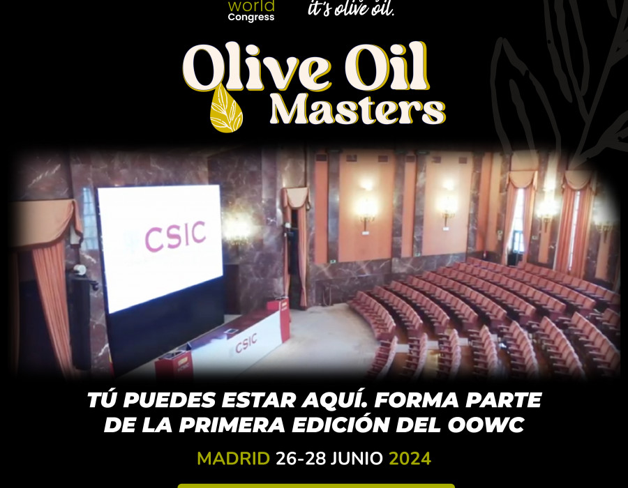 Csic oowc oleo240624