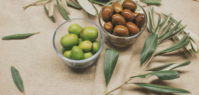 Olives vagelis dimas pixabay jornada aceituna mesa asjas sevilla 120924