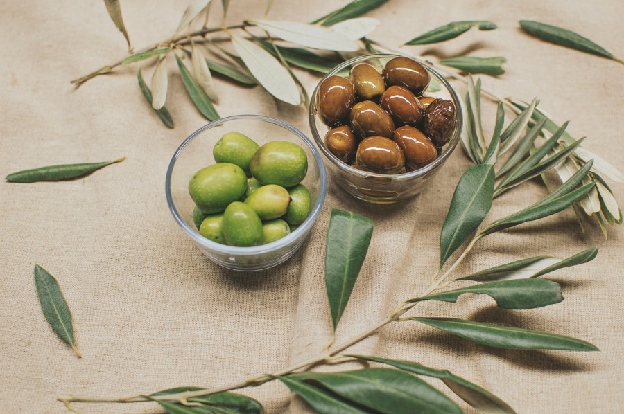 Olives vagelis dimas pixabay jornada aceituna mesa asjas sevilla 120924