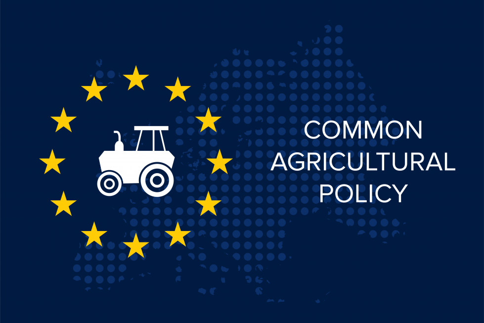 Pac europa flexibilidad ecorregimenes oleo101024