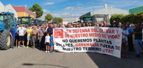 Sos rural stop plantas solares andalucia oleo301024