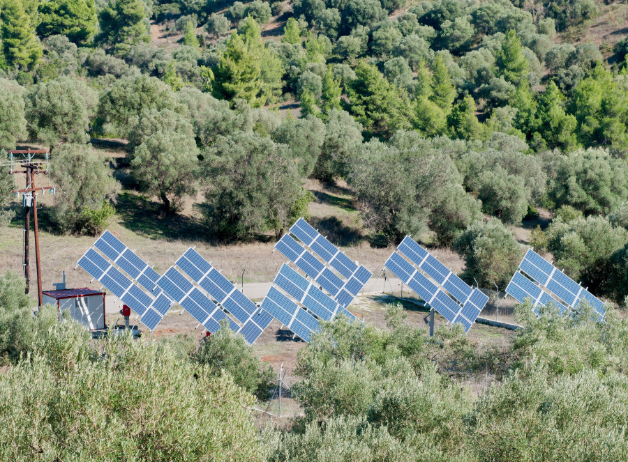 Agrivoltaica olivar en seto oleo211124