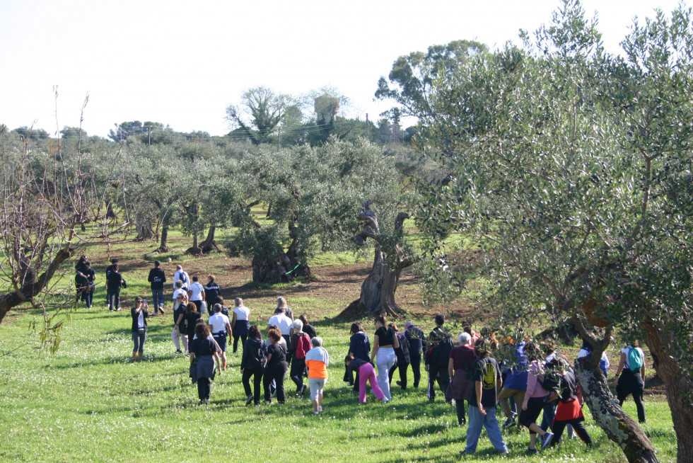 Castellana Grotte caminata olivo italia oleo051224