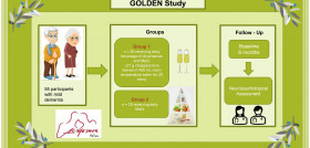 Plan inicial del Estudio Dorado oleo111224