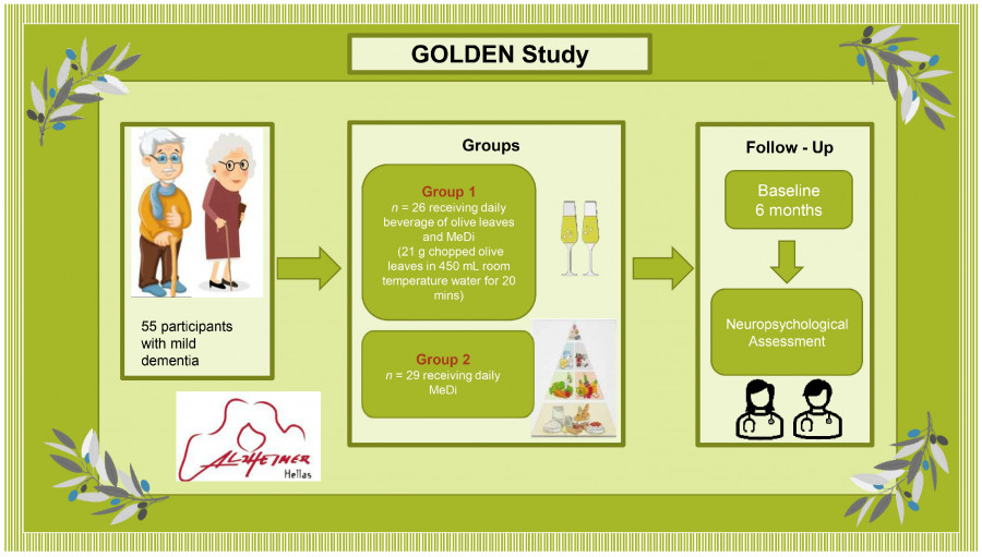 Plan inicial del Estudio Dorado oleo111224