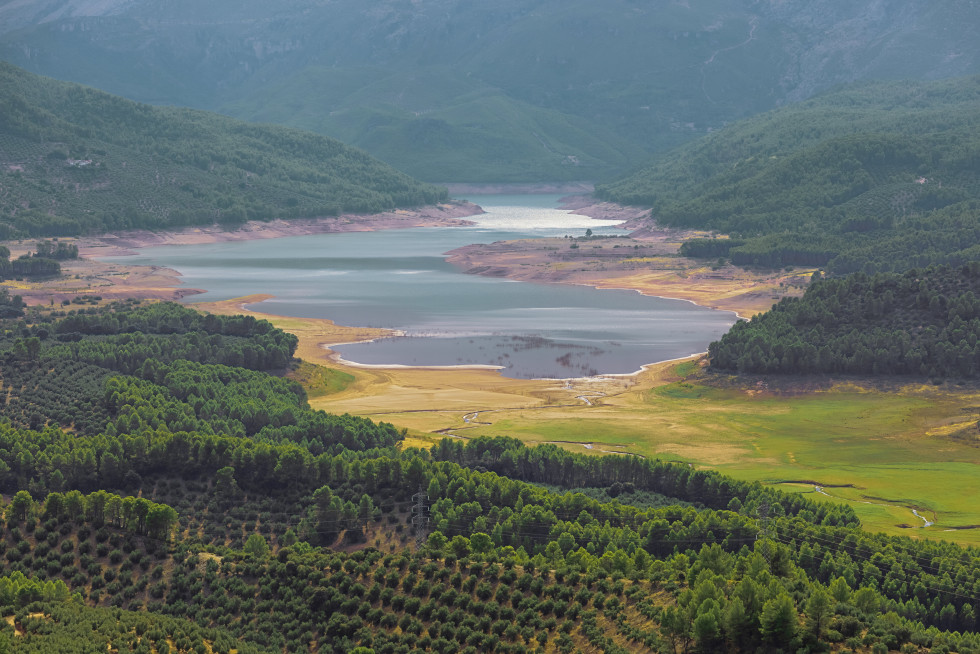 Ayudas regantes andalucia agua oleo100125