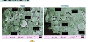 Oleosomas Estructura IA Aurelian Biotech oleo160125