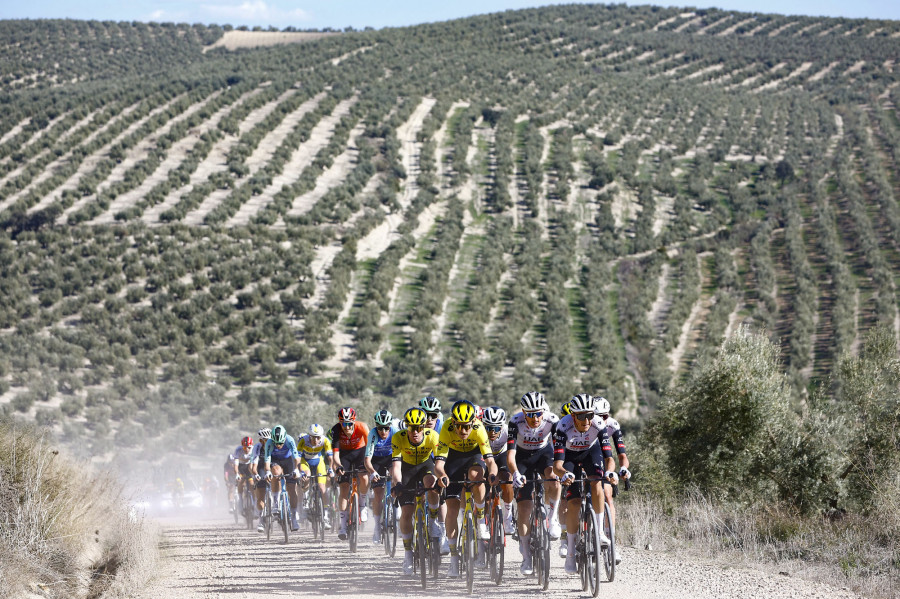 La carrera en el olivar patrocinio interprofesional oleo200225