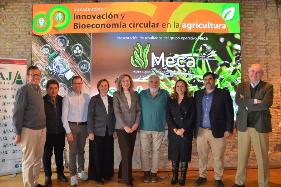 Proyecto meca asja sevilla oleo030325